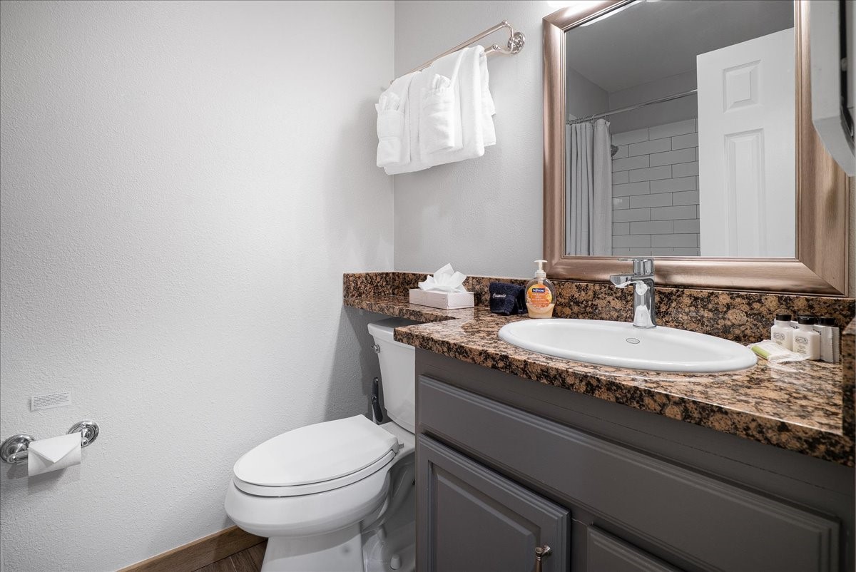 120 Sawmill Road, Unit 106 Breckenridge, CO 80424 - Photo 13 of 25 a bathroom with a granite countertop toilet a sink and a mirror