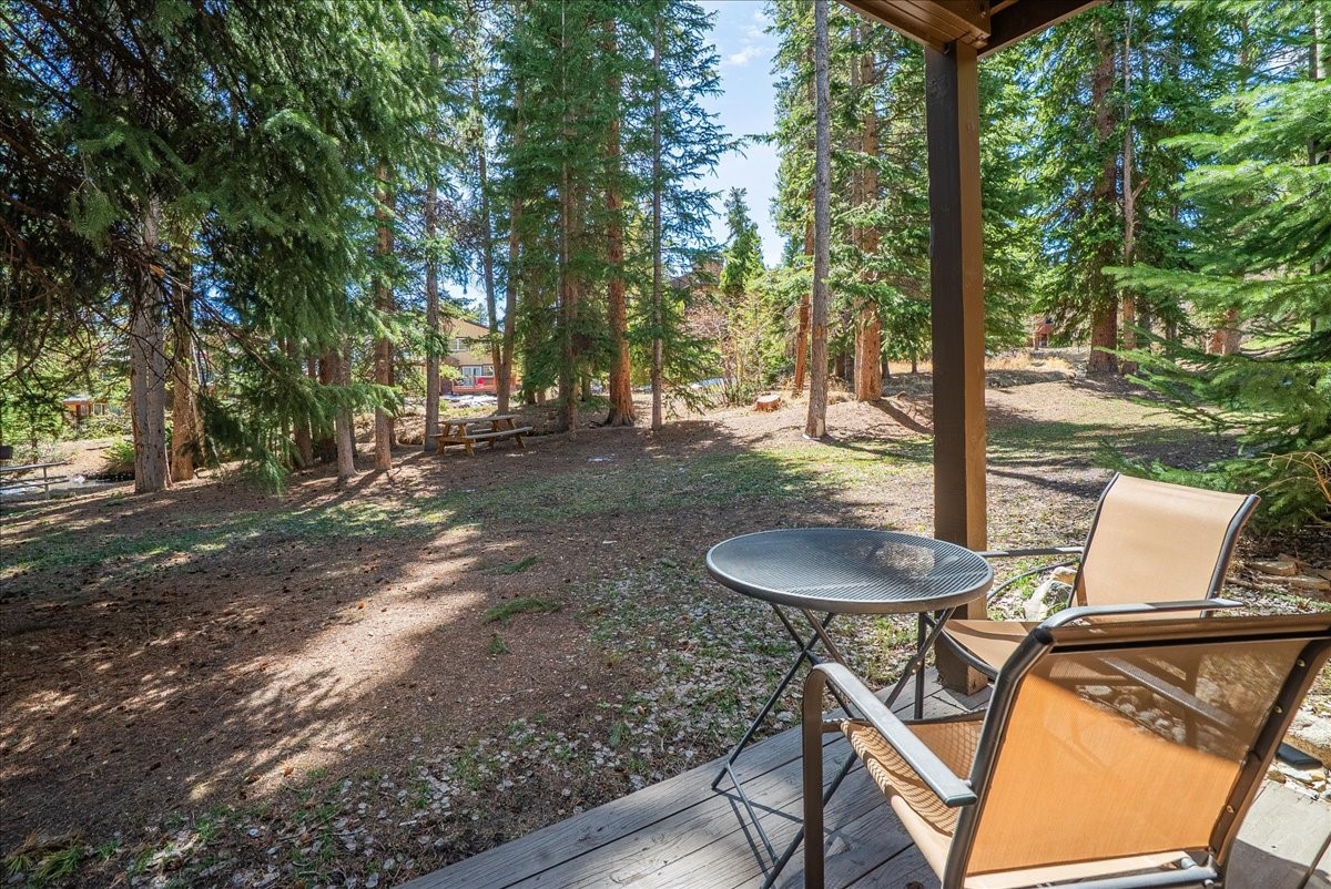 120 Sawmill Road, Unit 106 Breckenridge, CO 80424 - Photo 17 of 25 a backyard of a house with table and chairs