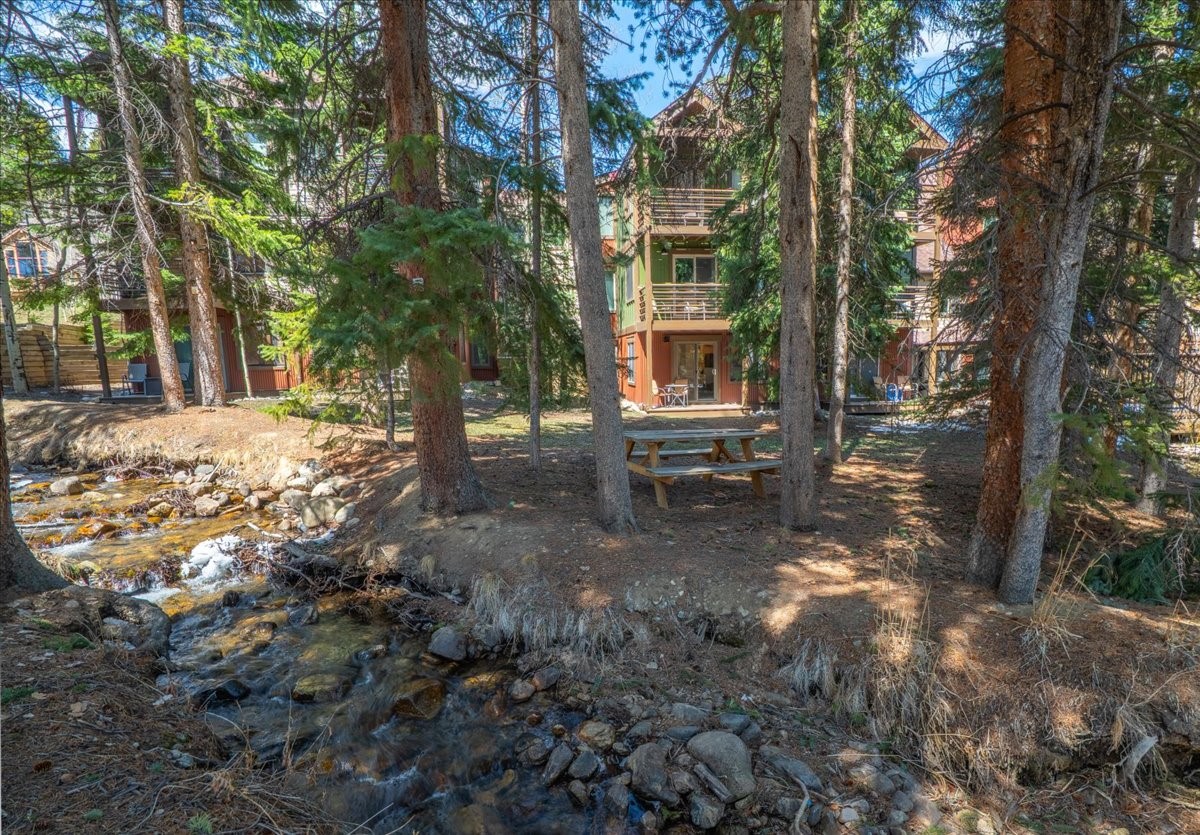 120 Sawmill Road, Unit 106 Breckenridge, CO 80424 - Photo 21 of 25 a view of a yard with plants and trees