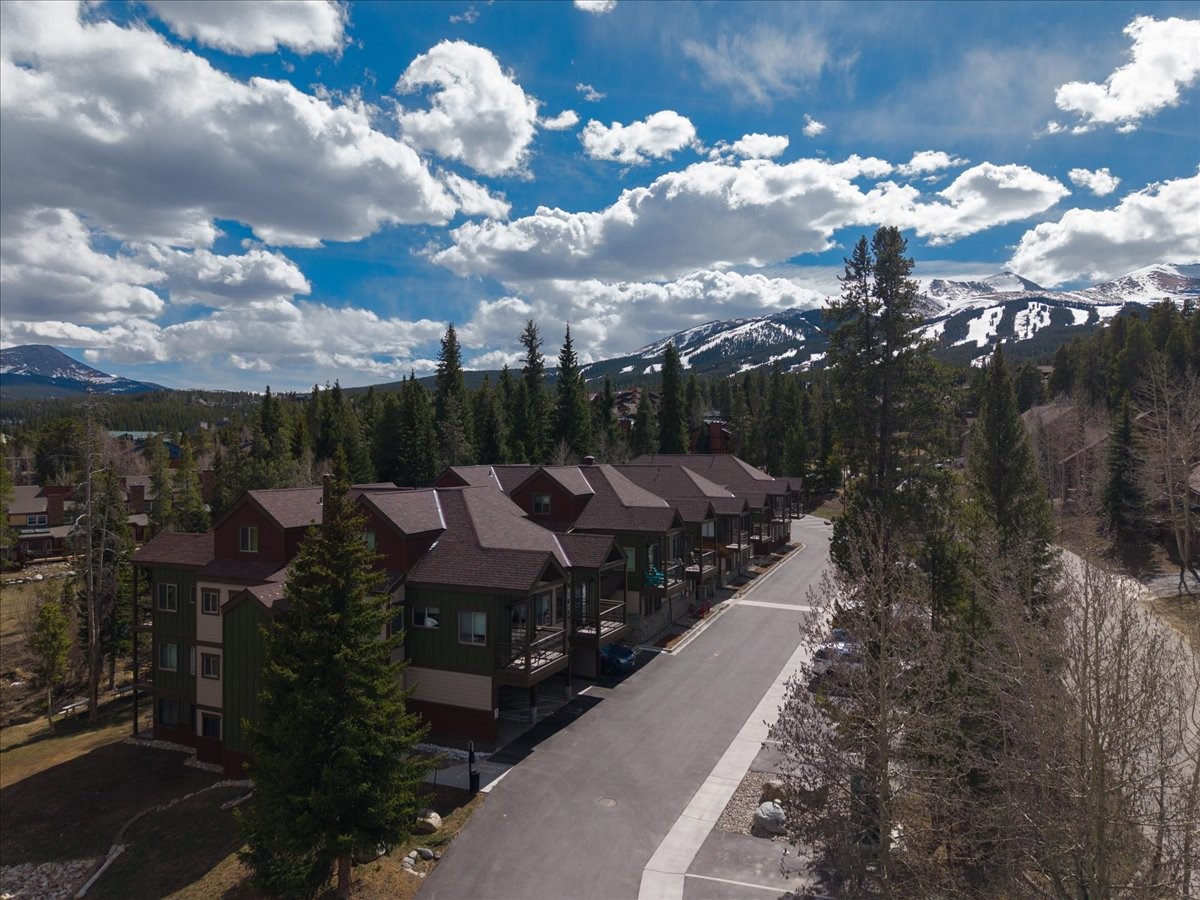 120 Sawmill Road, Unit 106 Breckenridge, CO 80424 - Photo 25 of 25 a view of a garden