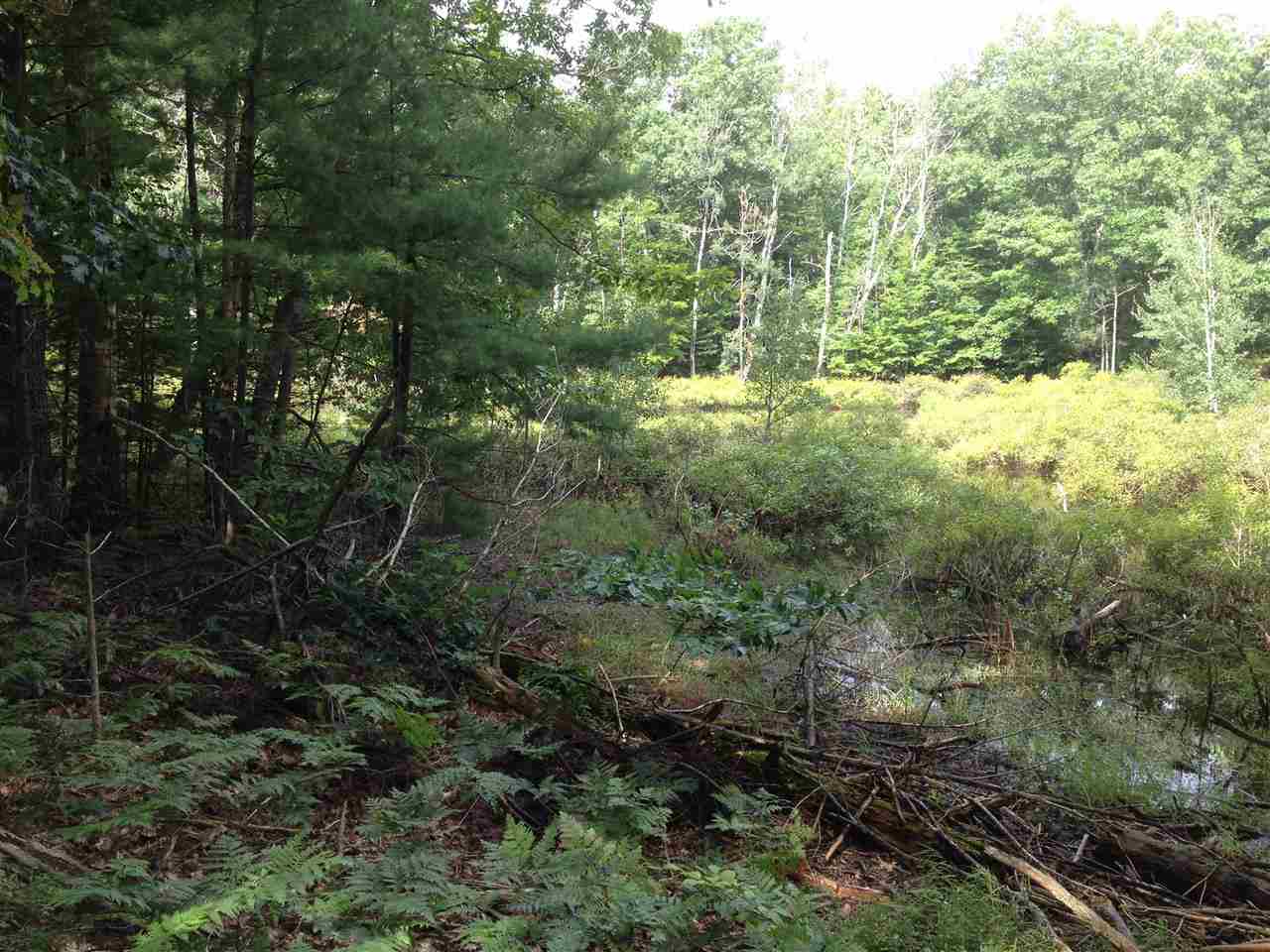 217 Bass Lake Road Traverse City, MI 49685 - Photo 28 of 38 1789353-27.JPG