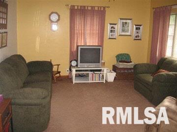 501 South Main Street Belle Rive, IL 62810 - Photo 3 of 14