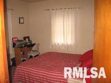 501 South Main Street Belle Rive, IL 62810 - Photo 8 of 14