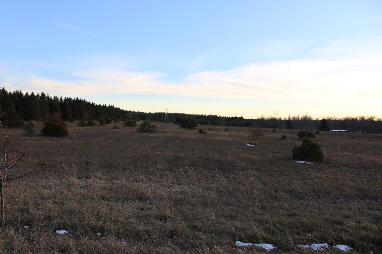 1 Read Road Copemish, MI 49625 - Photo 9 of 50