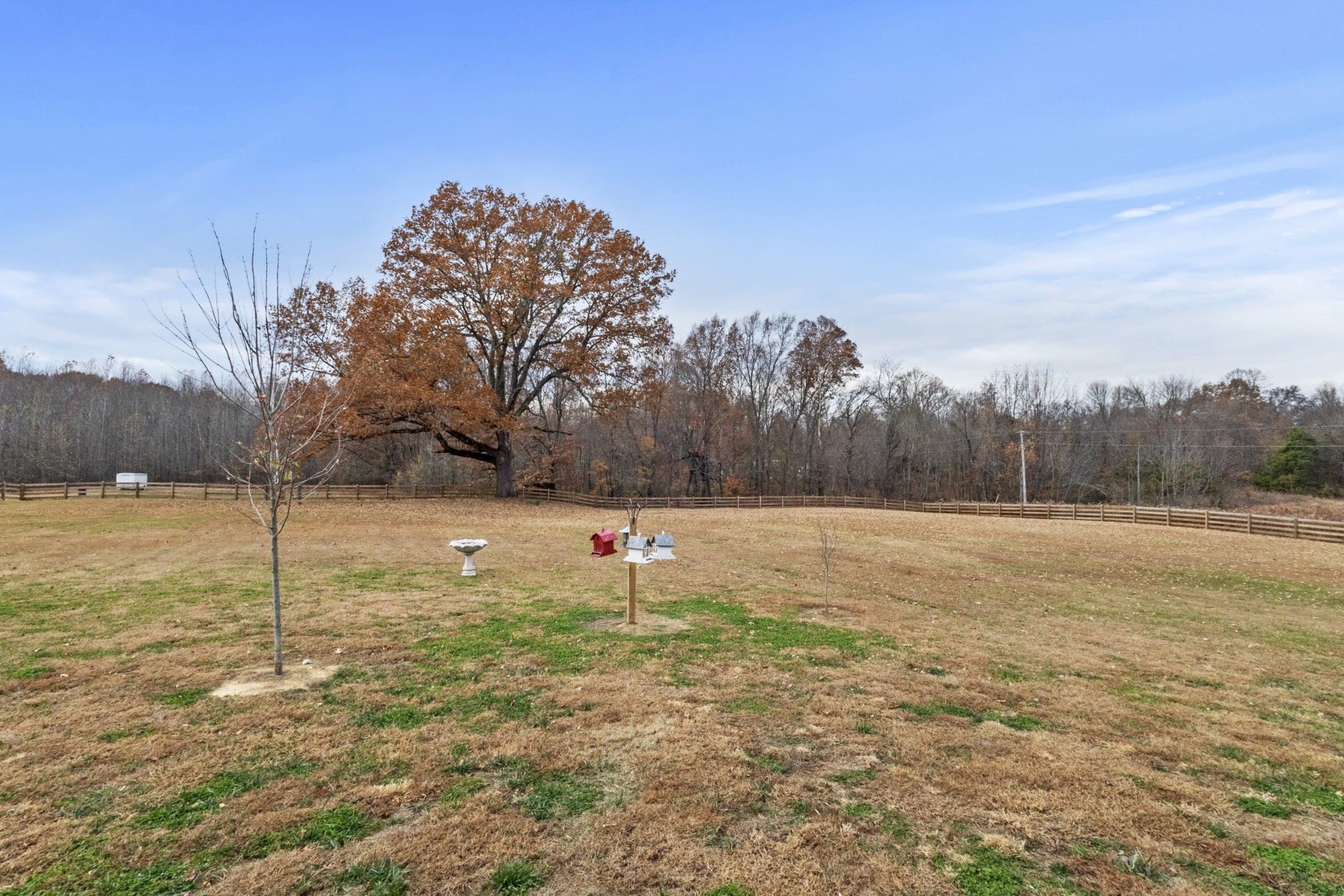 249 Claypool Road Bethpage, TN 37022 - Photo 47 of 53 a view of open space with lots of trees