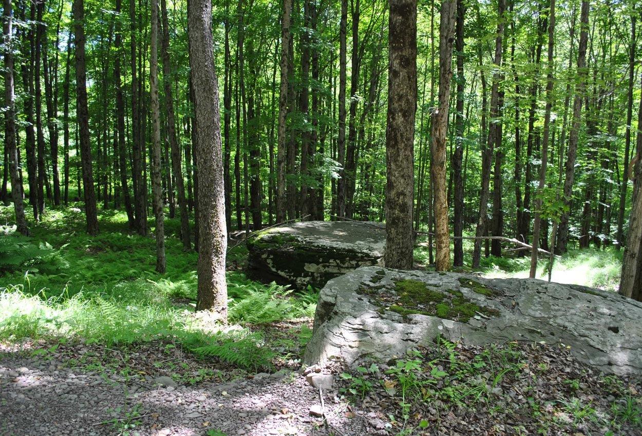 2233 State Road Andes, NY 13731 - Photo 1 of 1 Gallery Image 1