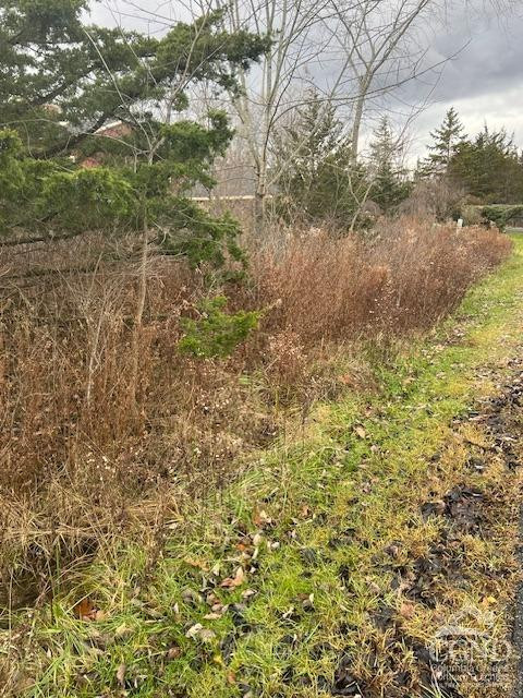 36 Castle Point Road Athens, NY 12015 - Photo 1 of 4 view of road frontage