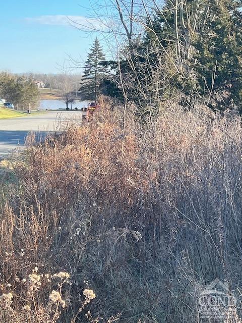 36 Castle Point Road Athens, NY 12015 - Photo 2 of 4 view of lake from road frontage