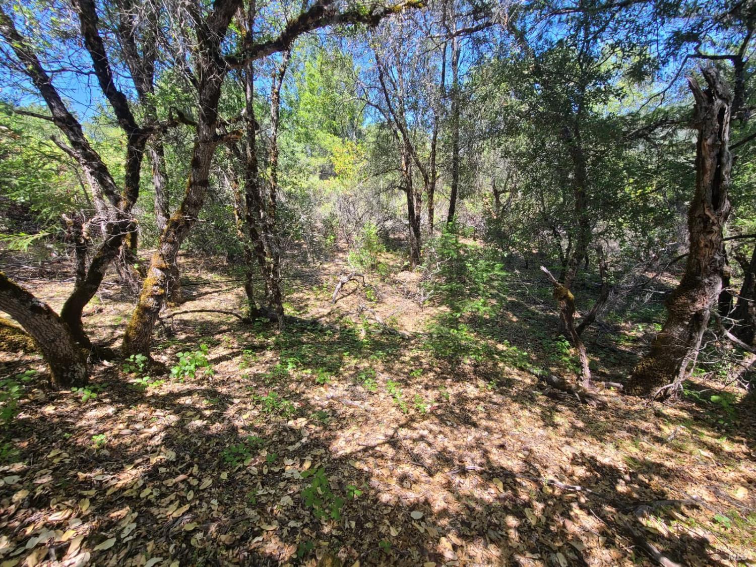 0 Etsel Ridge Road Covelo, CA 95428 - Photo 18 of 18