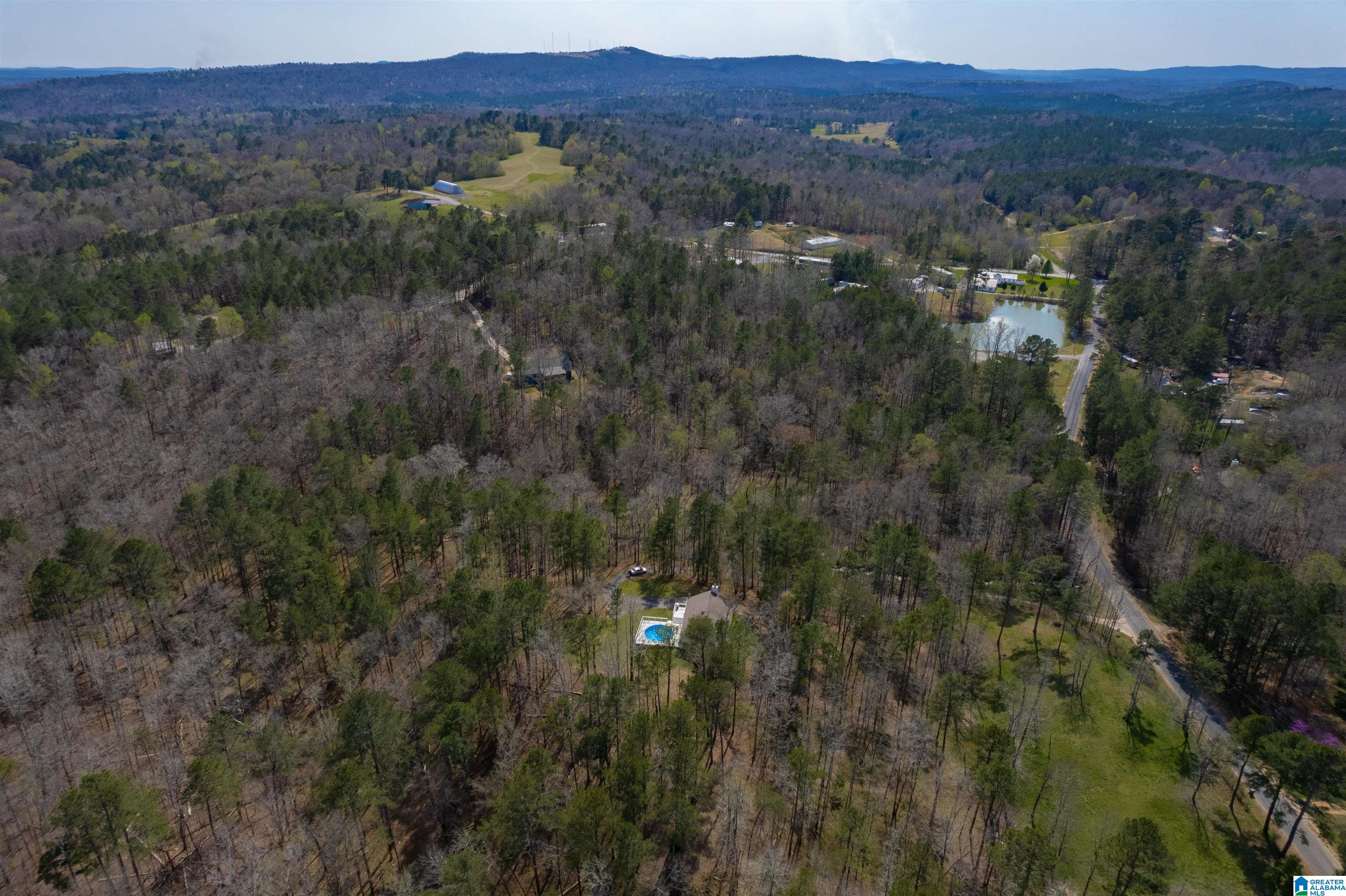 184 Sequoyah Road Pell City, AL 35128 - Photo 34 of 46