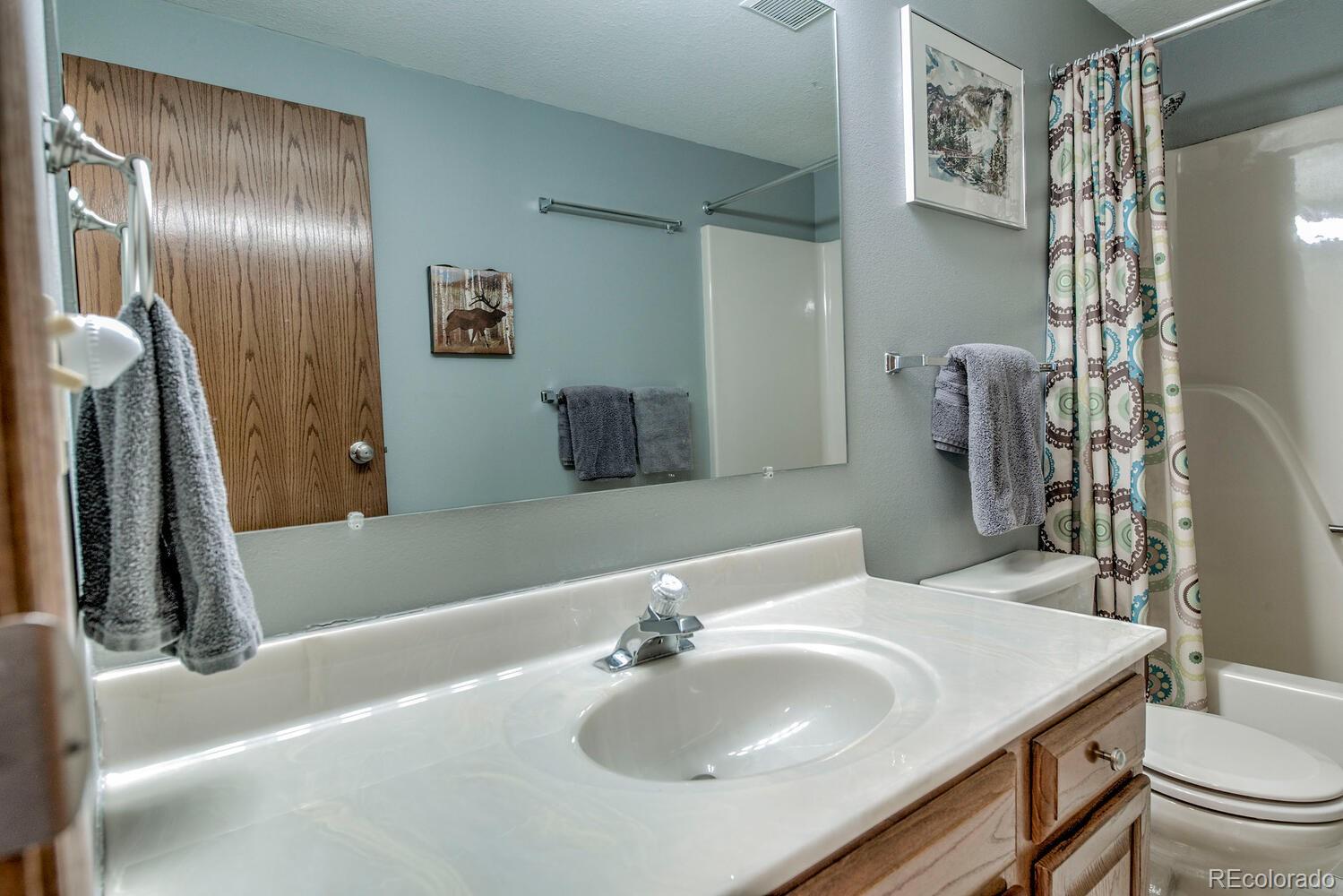 394 Co Road Fairplay, CO 80440 - Photo 31 of 46 a bathroom with a sink and a mirror