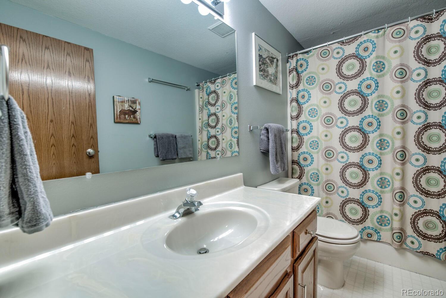 394 Co Road Fairplay, CO 80440 - Photo 32 of 46 a bathroom with a sink toilet and shower