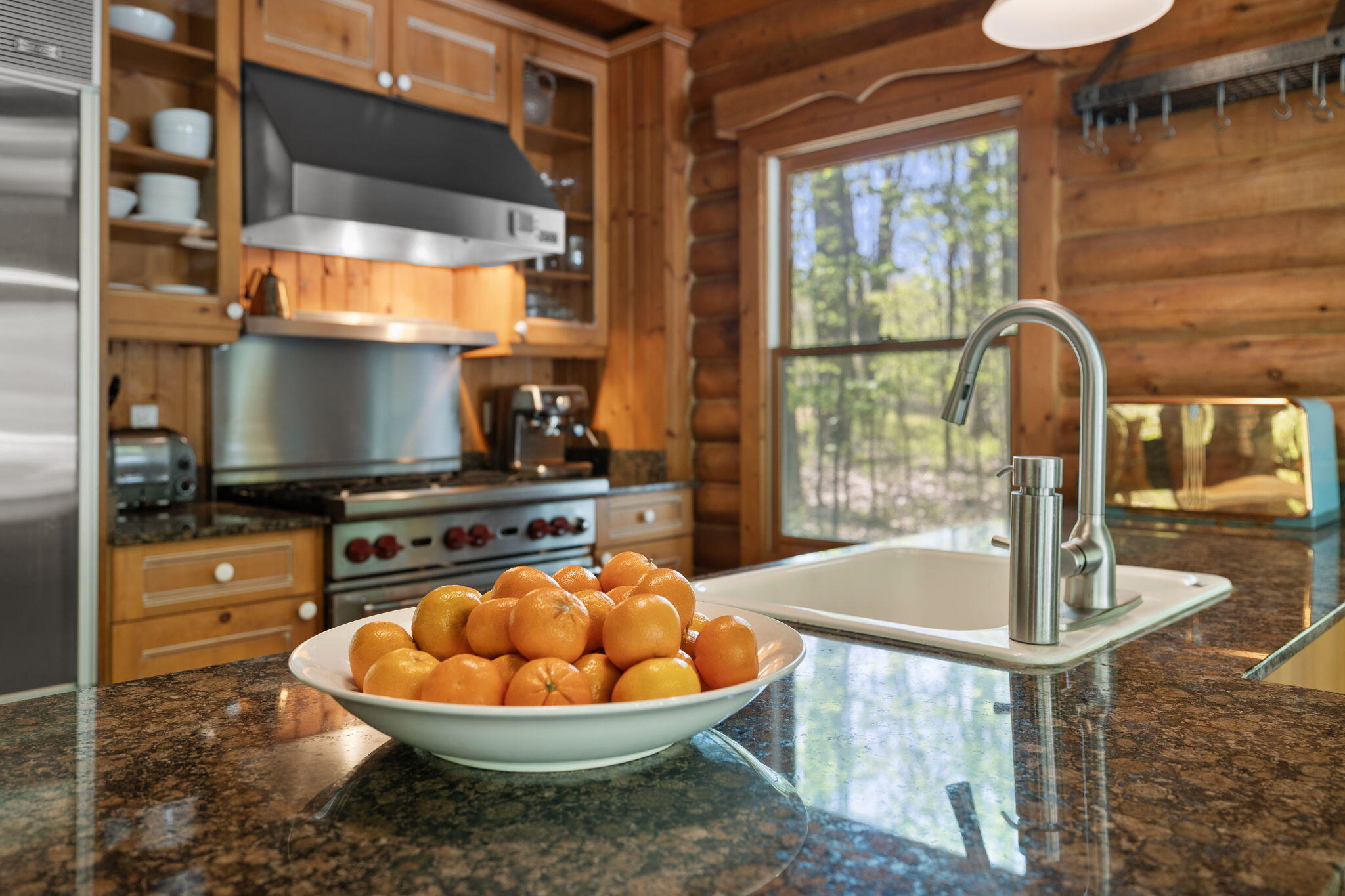 37 Camp Madron Road Buchanan, MI 49107 - Photo 13 of 61 12-web-or-mls-EK2A7174