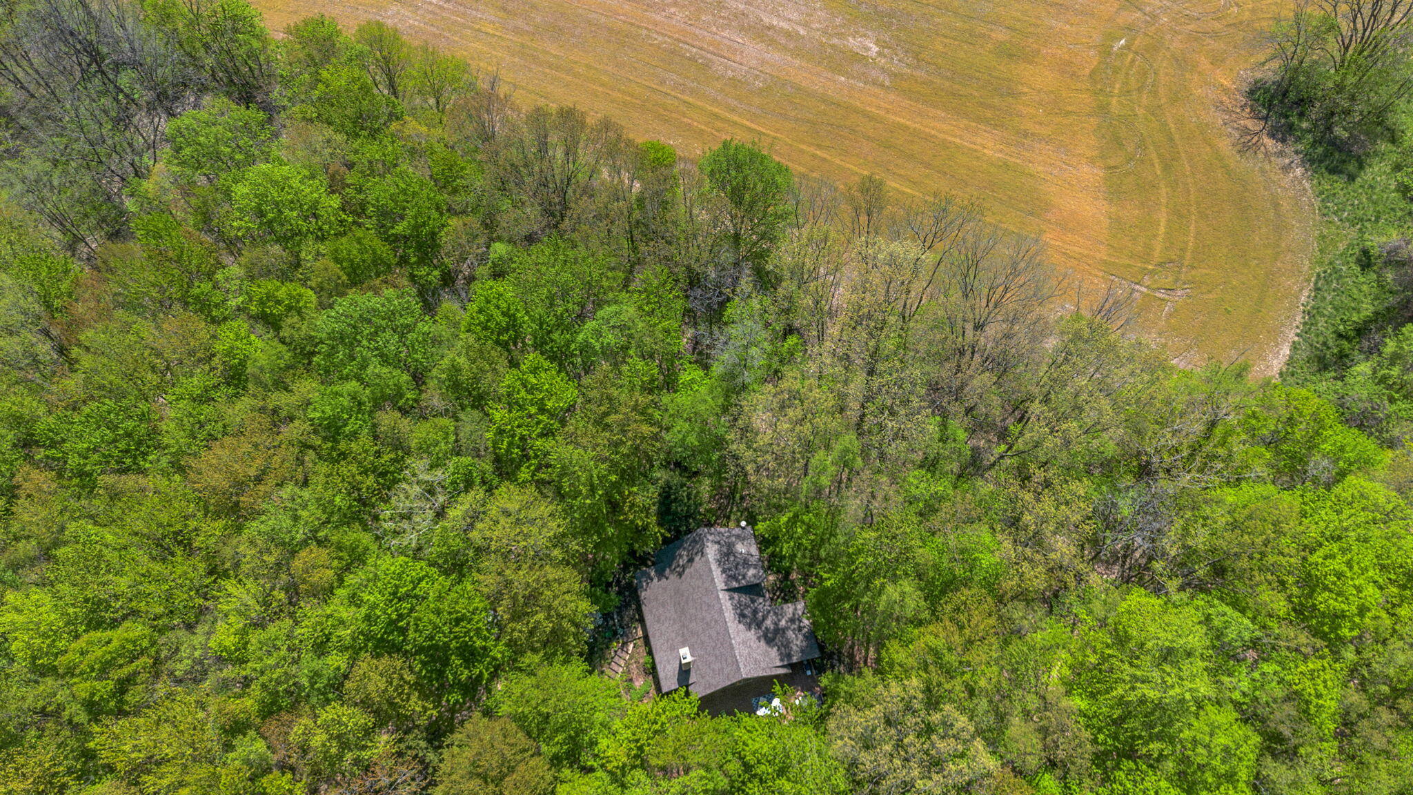 37 Camp Madron Road Buchanan, MI 49107 - Photo 49 of 61 51-web-or-mls-DJI_0295