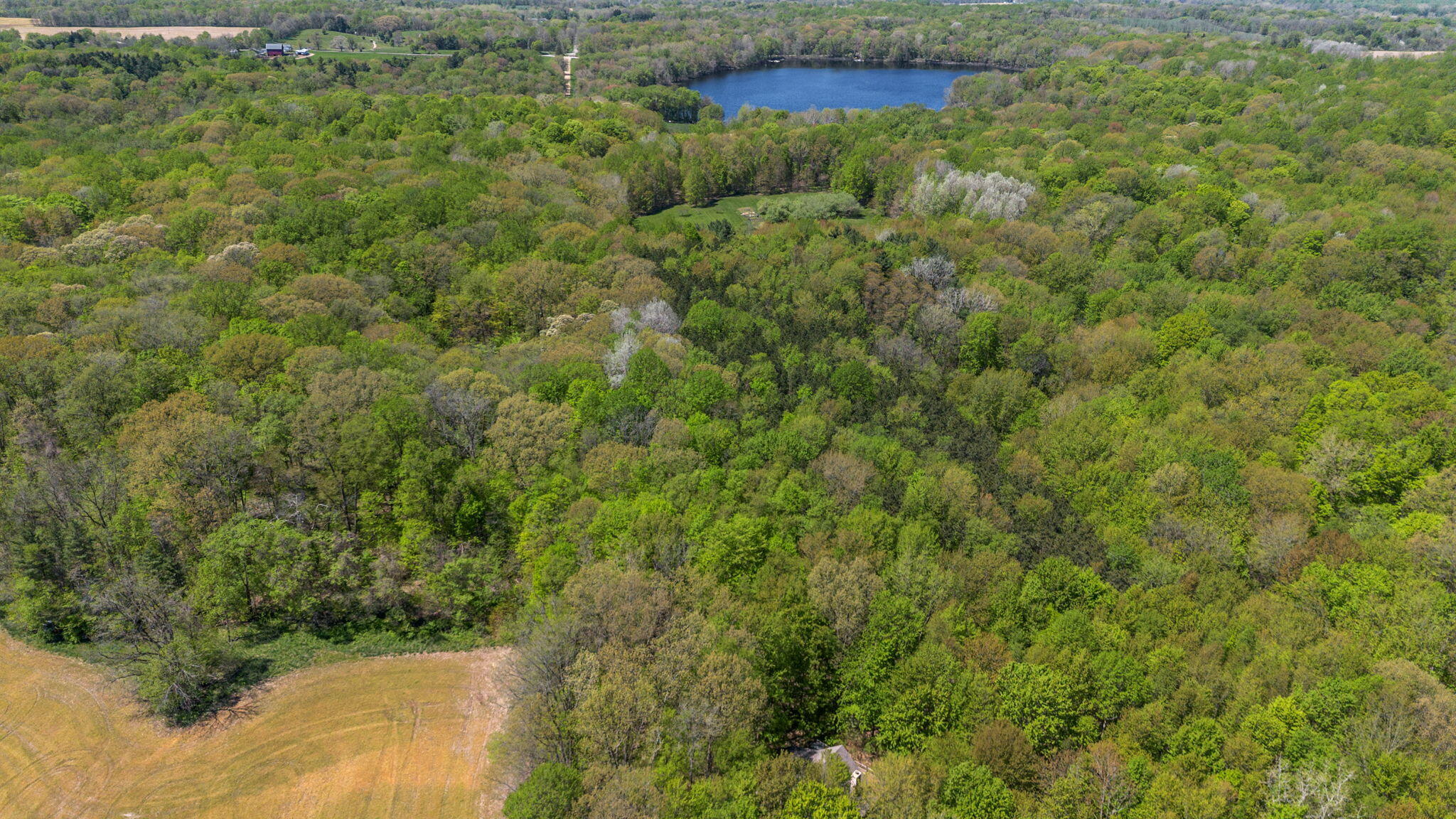 37 Camp Madron Road Buchanan, MI 49107 - Photo 51 of 61 52-web-or-mls-DJI_0299