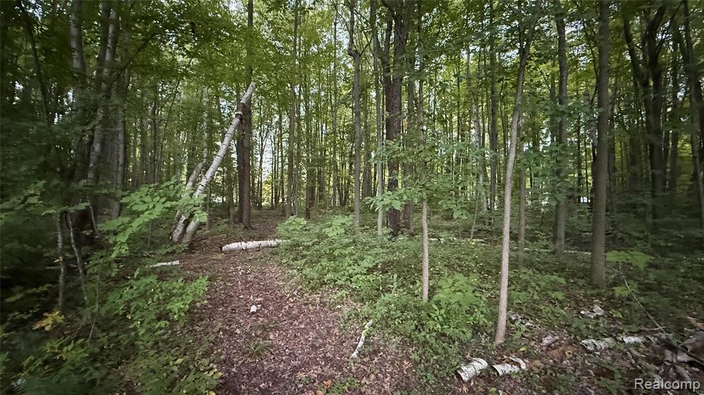 4528 North River Road North Street, MI 48049 - Photo 7 of 12