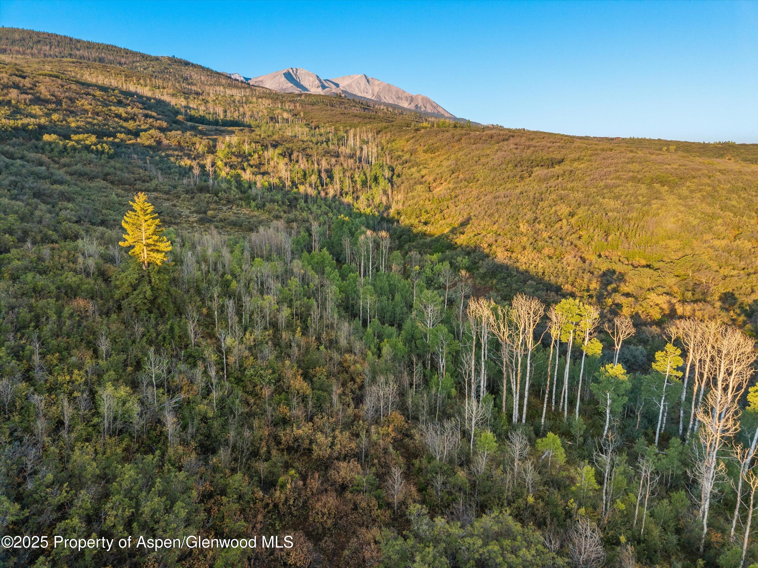 Tbd Old Herron Road, Unit LOT 48 Basalt, CO 81621 - Photo 13 of 20