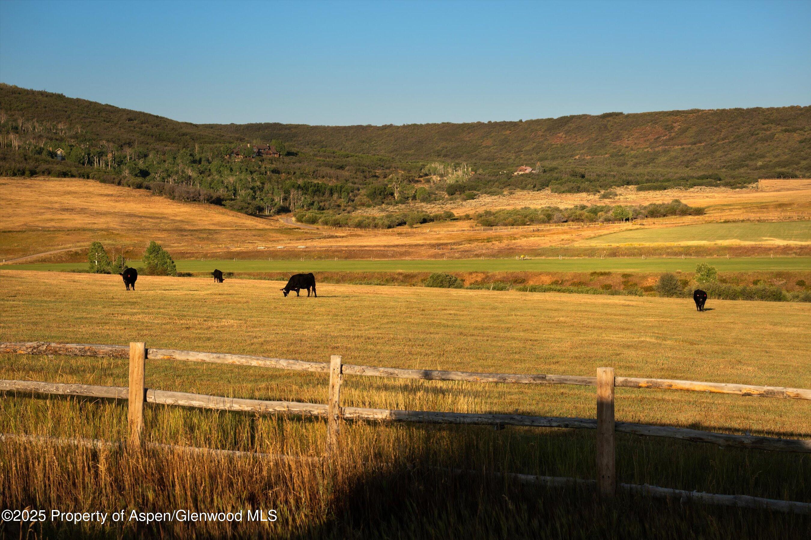Tbd Old Herron Road, Unit LOT 48 Basalt, CO 81621 - Photo 7 of 20 a view of an ocean
