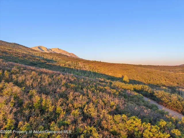 a view of a lush green hillside and a mountain