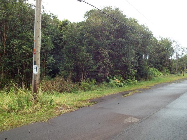 36 Kaleponi Road Mountain View, HI 96771 - Photo 3 of 7 a view of a yard with plants and trees