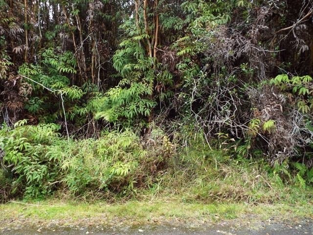 36 Kaleponi Road Mountain View, HI 96771 - Photo 5 of 7 a view of a garden