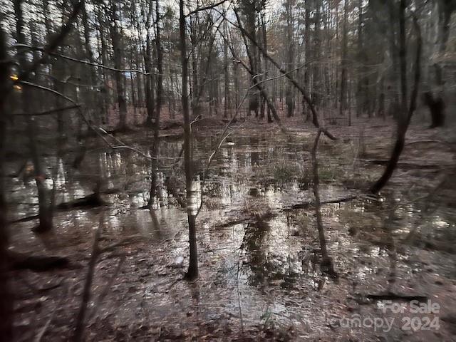 0 Union Road West Matthews, NC 28104 - Photo 4 of 5