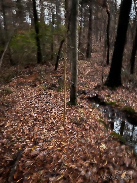 0 Union Road West Matthews, NC 28104 - Photo 5 of 5