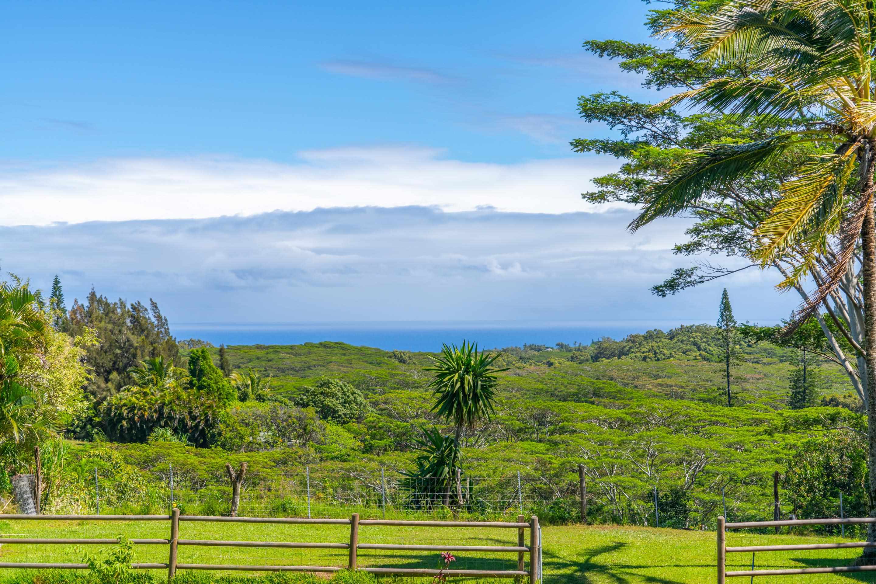 55 Oluolumau Place Haiku, HI 96708 - Photo 2 of 30 a view of a yard