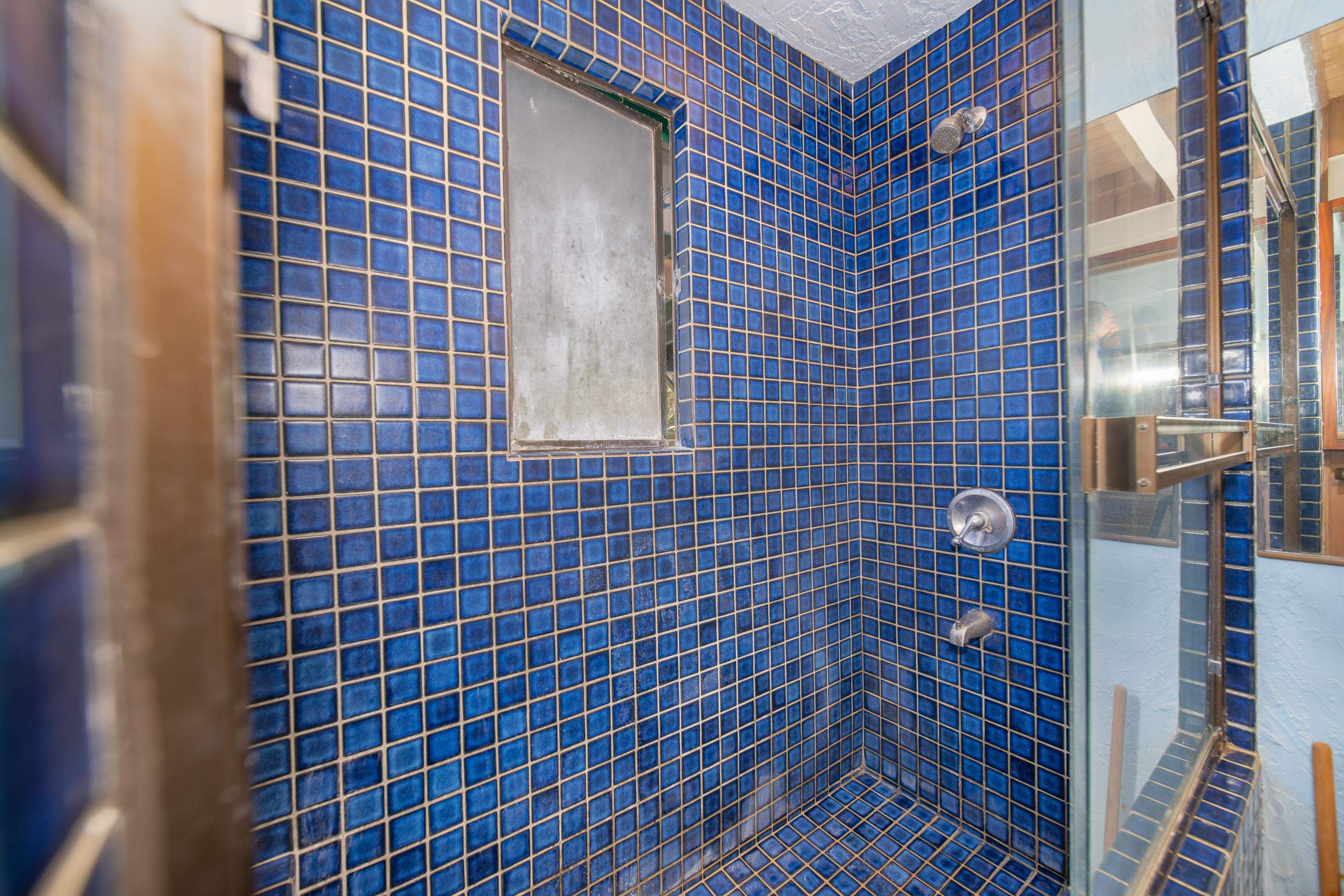 55 Oluolumau Place Haiku, HI 96708 - Photo 24 of 30 a bathroom with a shower