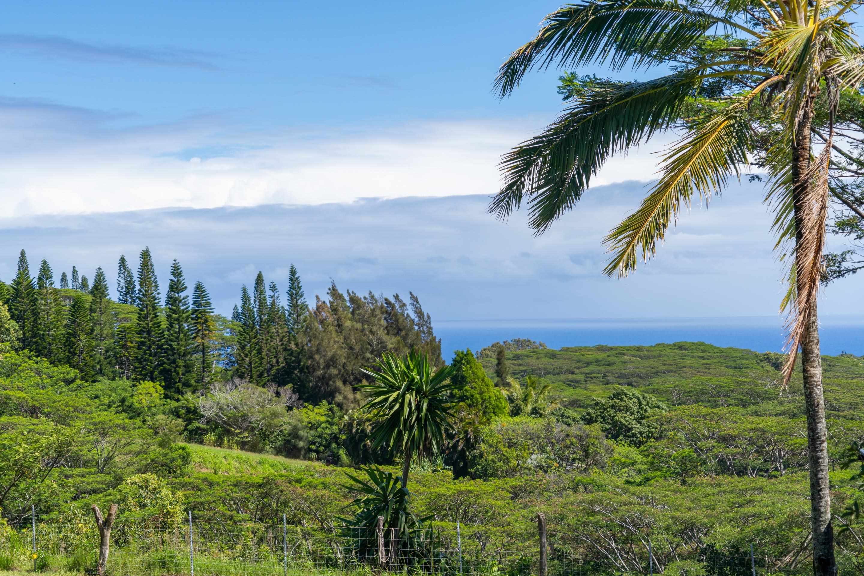 55 Oluolumau Place Haiku, HI 96708 - Photo 4 of 30 a view of a yard and mountain in the back