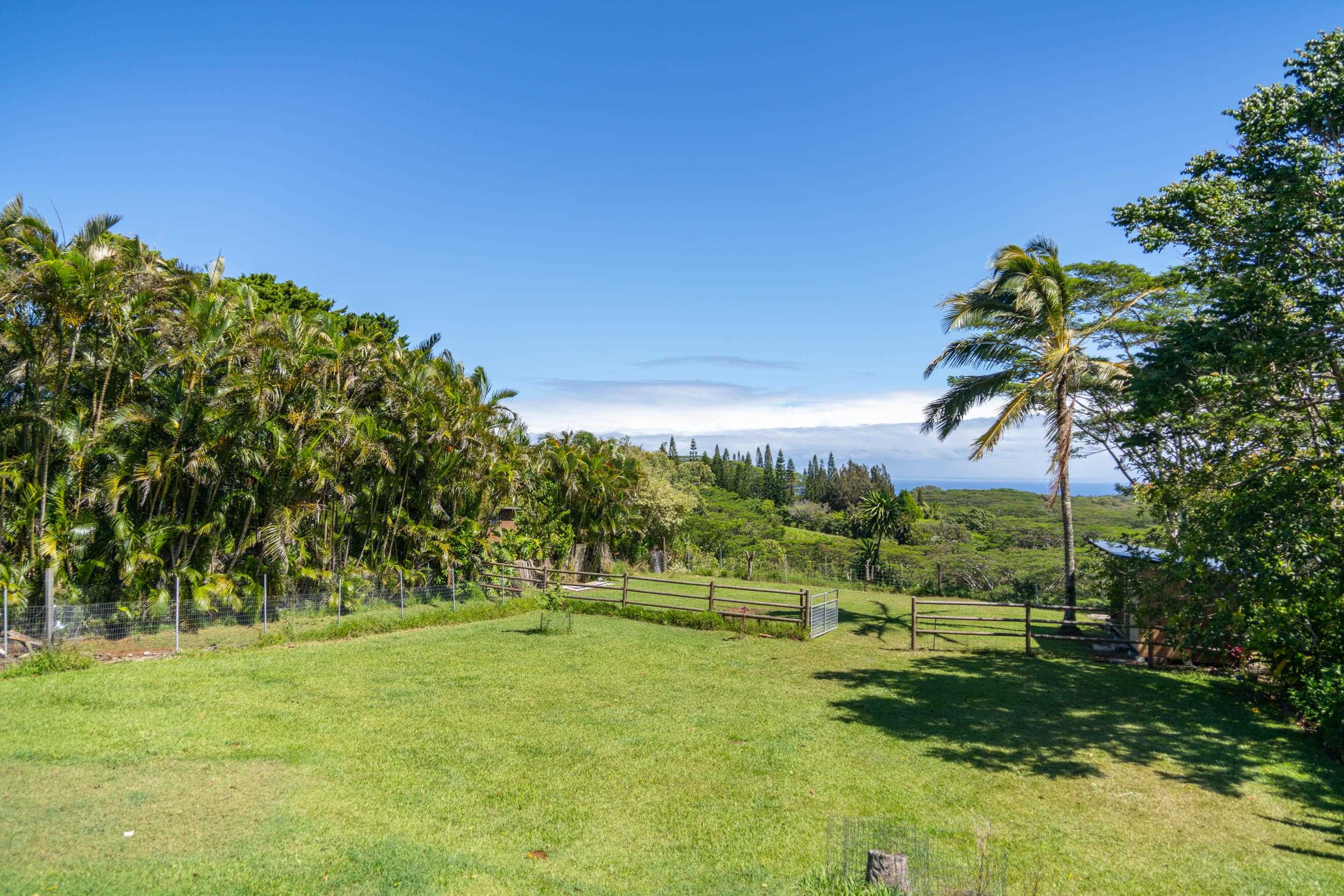 55 Oluolumau Place Haiku, HI 96708 - Photo 5 of 30 a view of a park