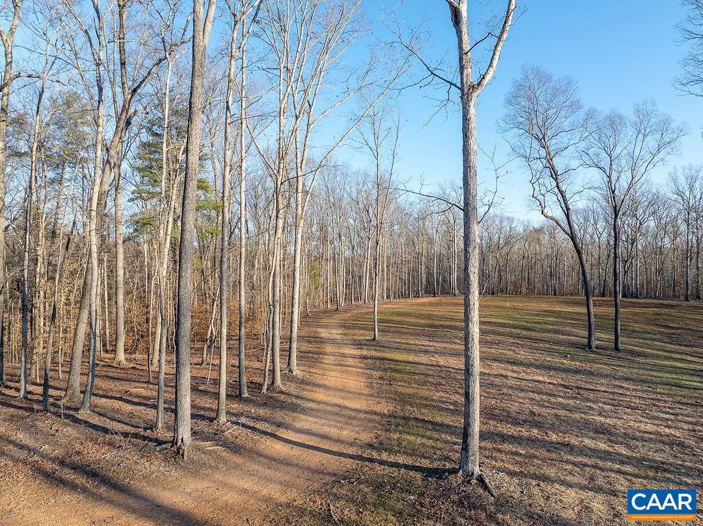 Lot 12 Grey Heron Road Keswick, VA 22947 - Photo 6 of 23 Gallery Image 6