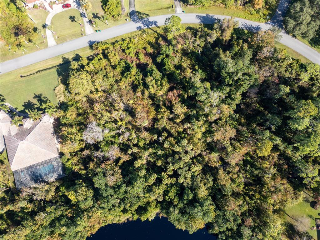 3839 Rambling Acres Drive Titusville, FL 32796 - Photo 3 of 8