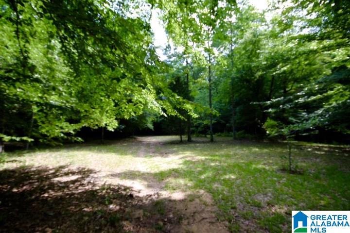 3440 Bulldog Bend Road Brierfield, AL 35035 - Photo 8 of 23