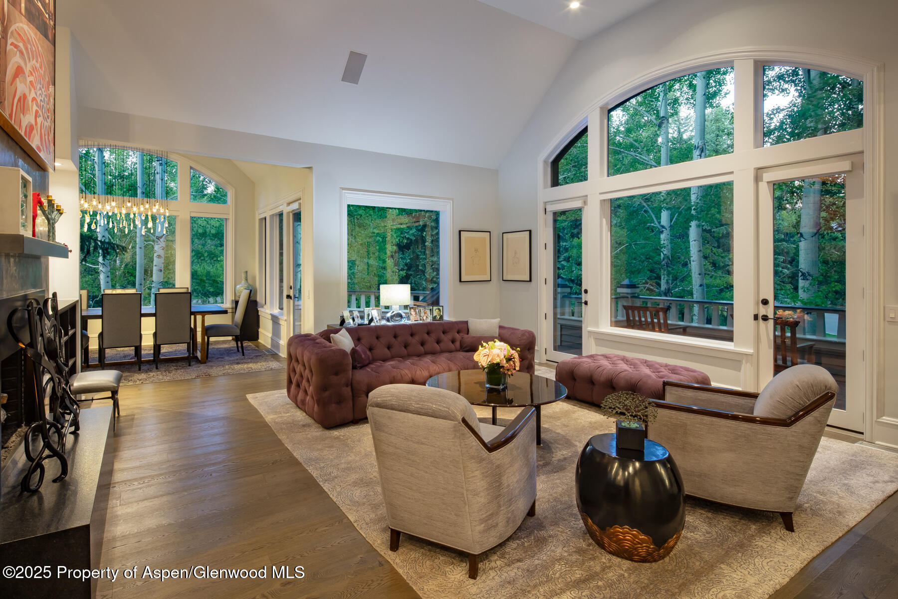 205 North 6th Street Aspen, CO 81611 - Photo 2 of 29 a living room with furniture and a large window