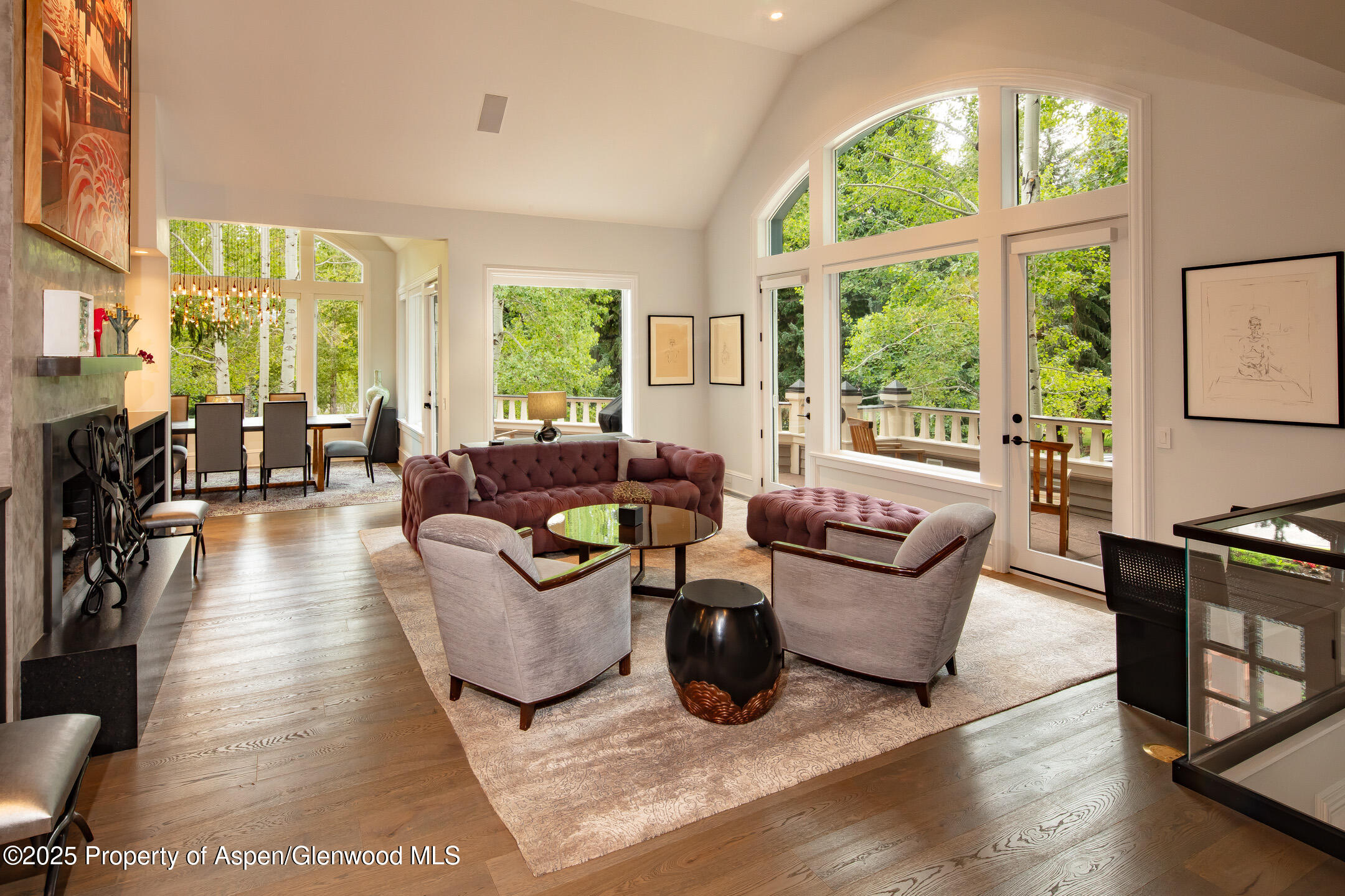 205 North 6th Street Aspen, CO 81611 - Photo 3 of 29 a living room with furniture and a large window