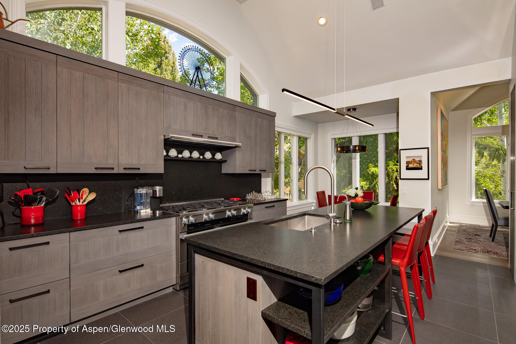 205 North 6th Street Aspen, CO 81611 - Photo 8 of 29 a kitchen with a table chairs and a refrigerator