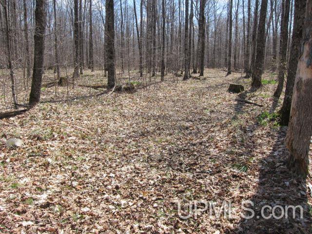 Four 4 Corners Road Crystal Falls, MI 49920 - Photo 13 of 17