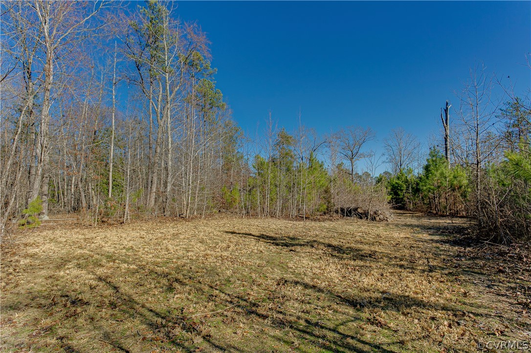 10101 Beaver Bridge Road Chesterfield, VA 23838 - Photo 29 of 31