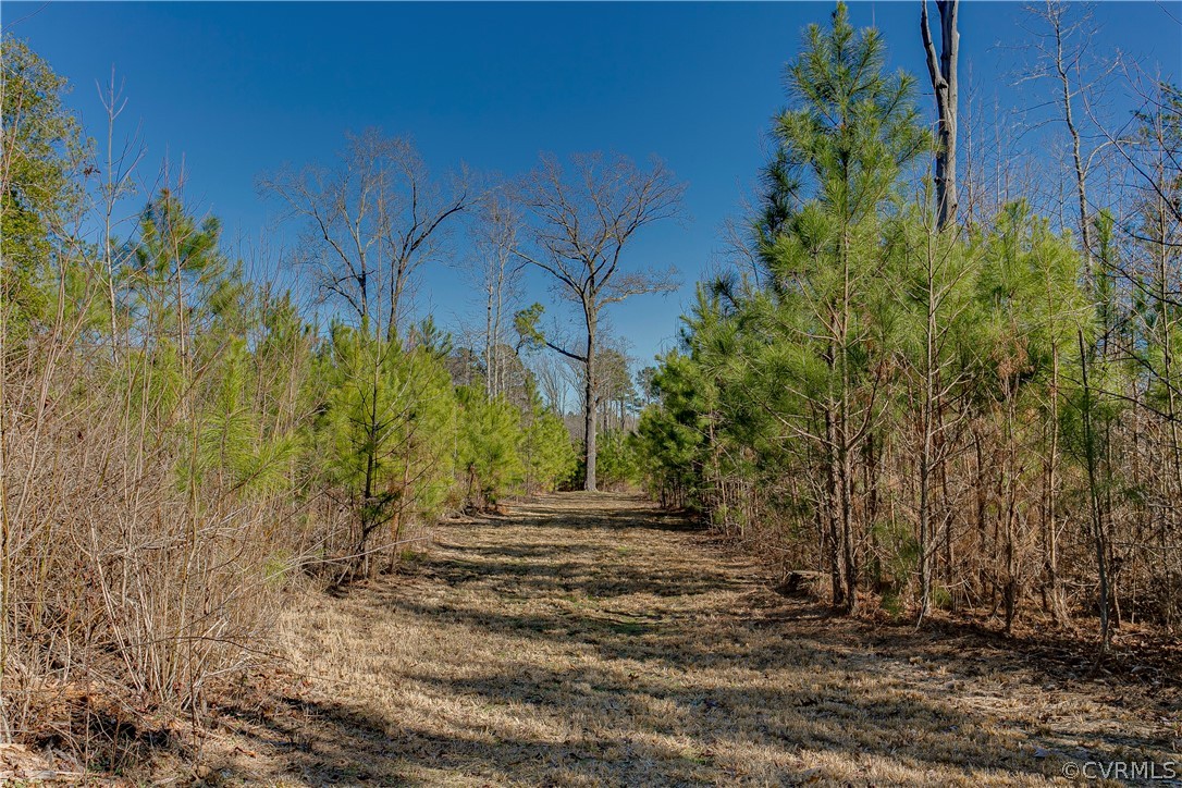 10101 Beaver Bridge Road Chesterfield, VA 23838 - Photo 30 of 31