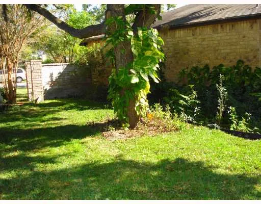 a view of a tree with a yard