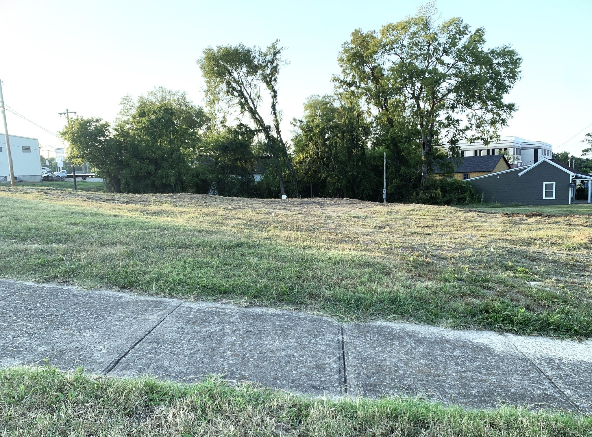 115 Cemetery Street Columbia, TN 38401 - Photo 3 of 8 a big yard with lots of green space