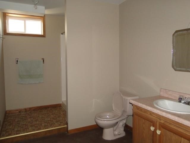 5115 Pyles Road Columbiaville, MI 48421 - Photo 19 of 22 Basement Bath