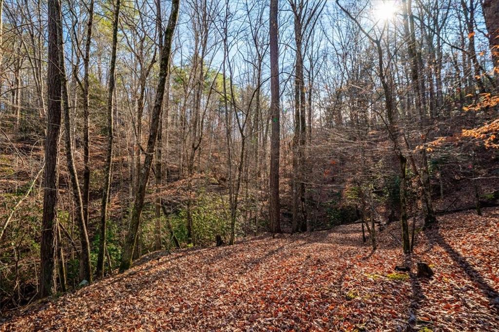 411 Gunite Circle Ellijay, GA 30540 - Photo 67 of 81 a backyard of a house with lots of trees