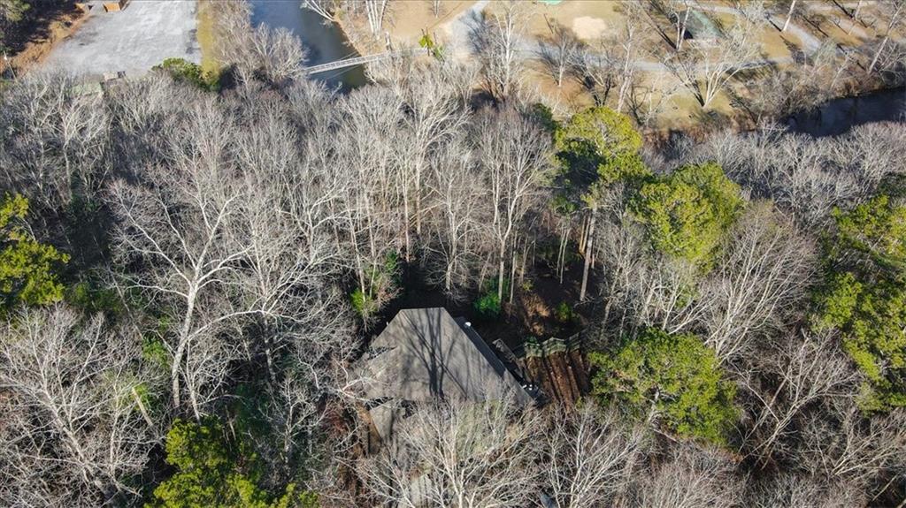 411 Gunite Circle Ellijay, GA 30540 - Photo 68 of 81