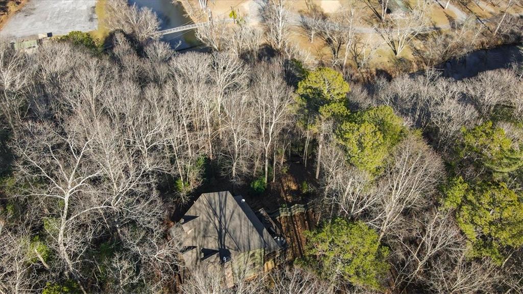 411 Gunite Circle Ellijay, GA 30540 - Photo 69 of 81 a backyard of a house with lots of green space