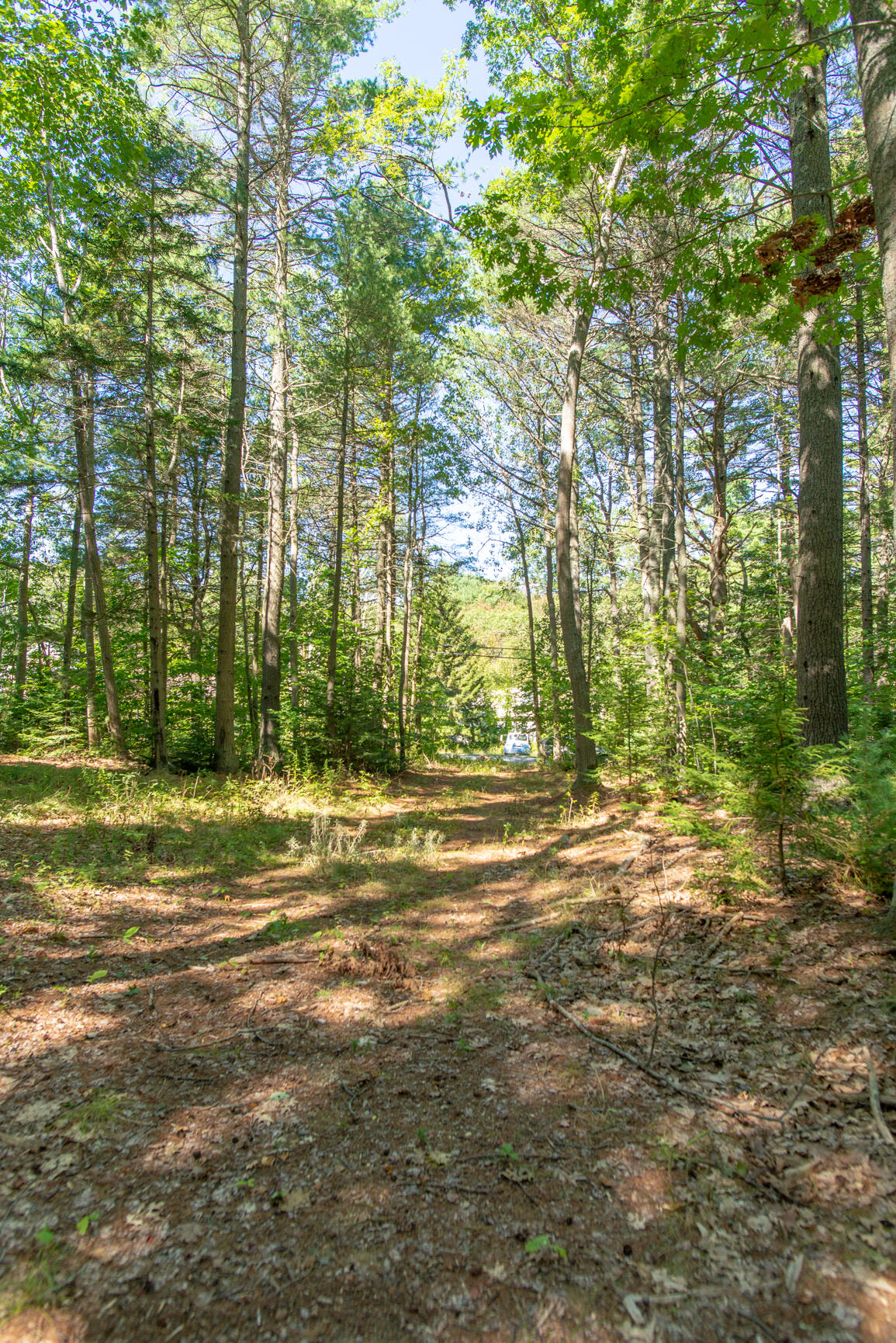 Lot 26 B North Road Chebeague Island, ME 04017 - Photo 9 of 11 untitled-9