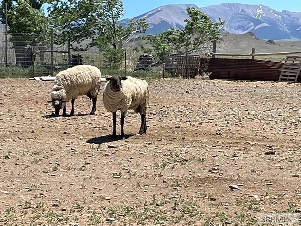 $474,900 | 1096 Upper Hot Spgs Road, Challis, ID 83226