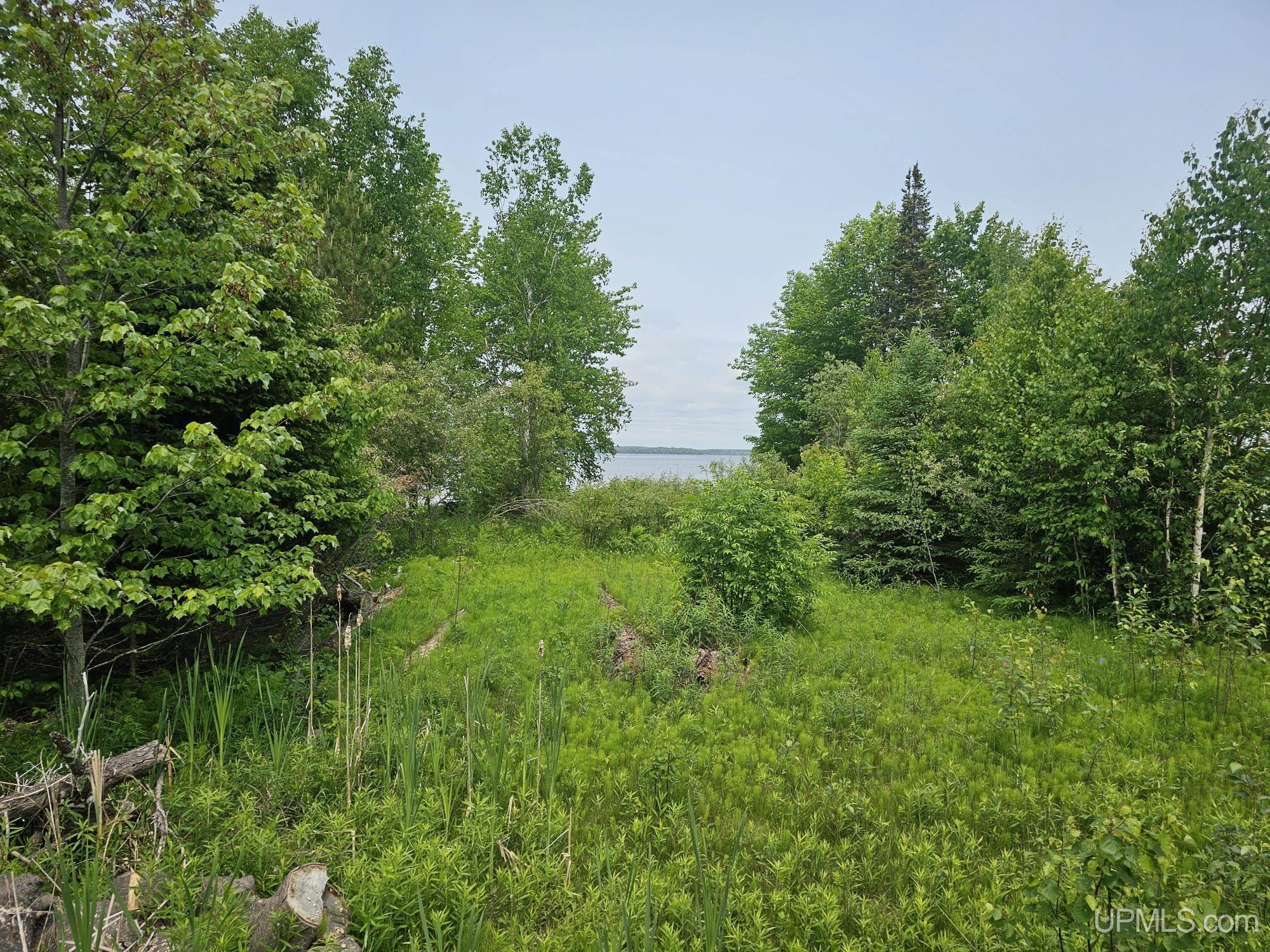 432 Rd Gulliver Mi 49840 Road Gulliver, MI 49840 - Photo 7 of 10