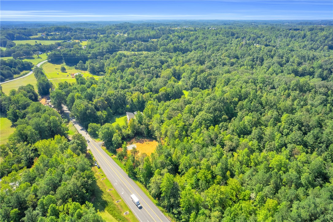 167 Cherokee Trail Easley, SC 29640 - Photo 10 of 18 Vast, verdant landscape unfolds with a winding road cutting through dense woodlands, offering privacy and seclusion.